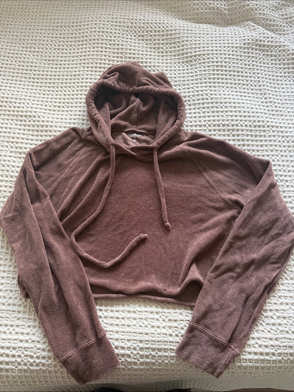 Year of Ours Cropped Hoodie in Dusty Mauve